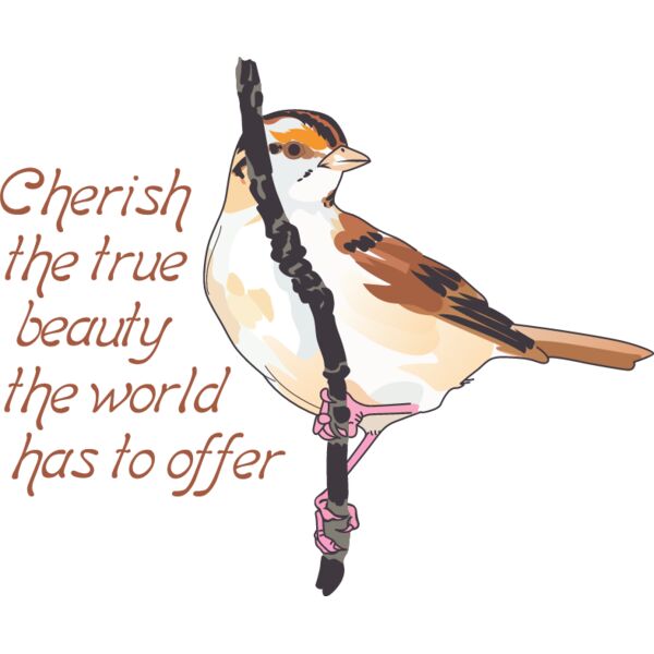 PG69204 Miniaturansicht