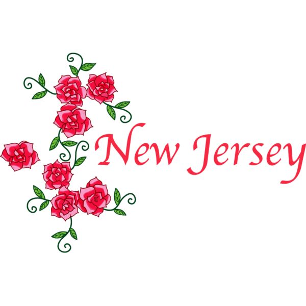 PG18479 Miniaturansicht