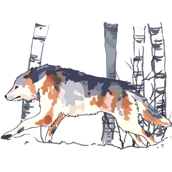 PG78694 Miniaturansicht