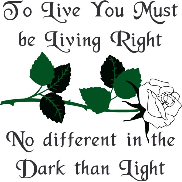 PG79391 Miniaturansicht