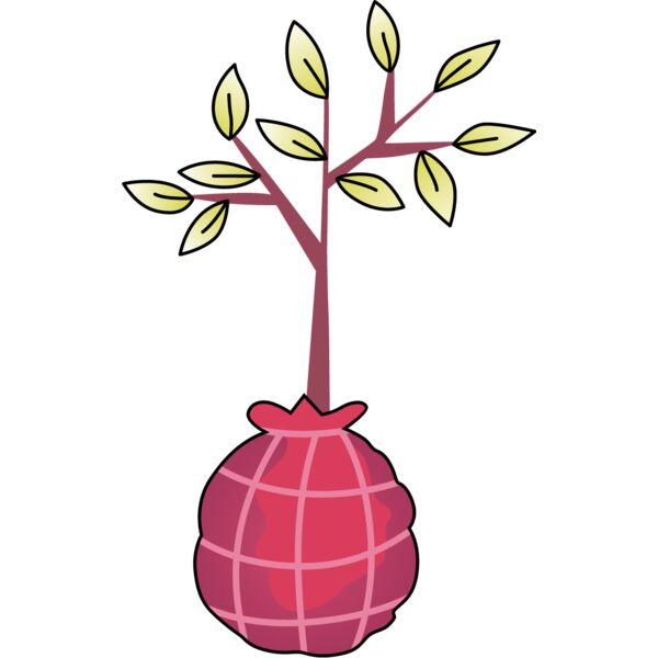 PG50884 Miniaturansicht