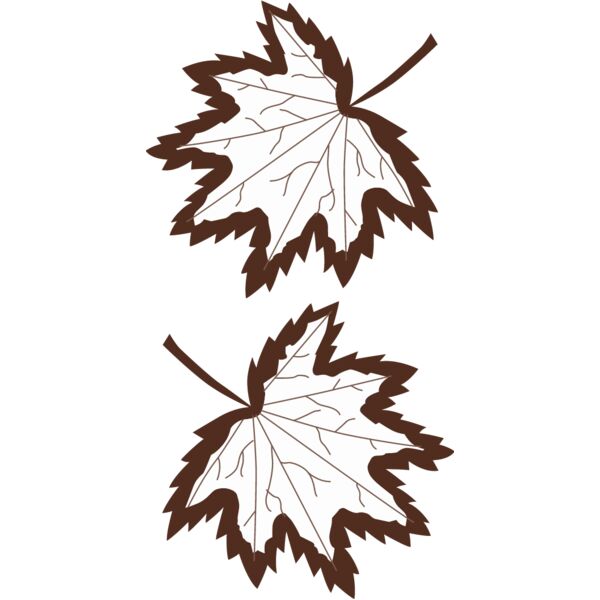 PG63521 Miniaturansicht