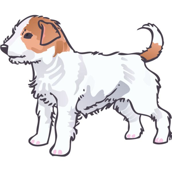 PG92707 Miniaturansicht