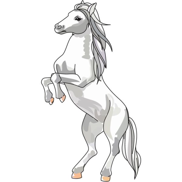 PG79516 Miniaturansicht