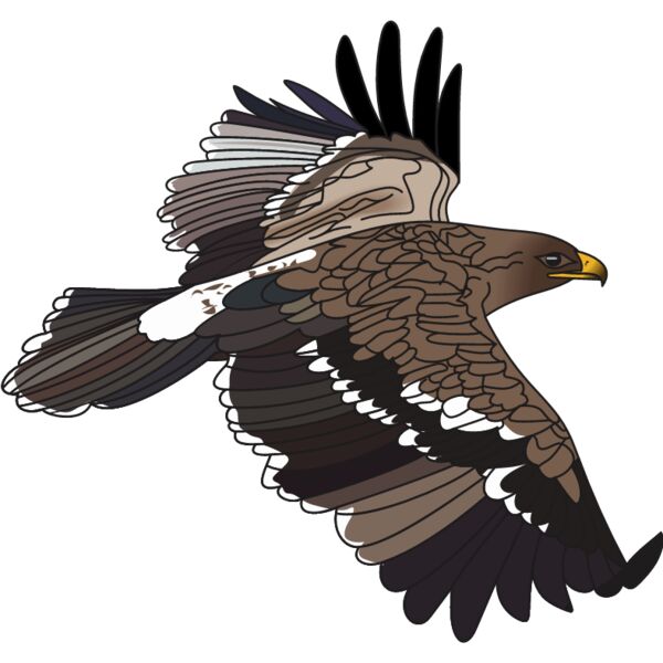 PG55687 Miniaturansicht