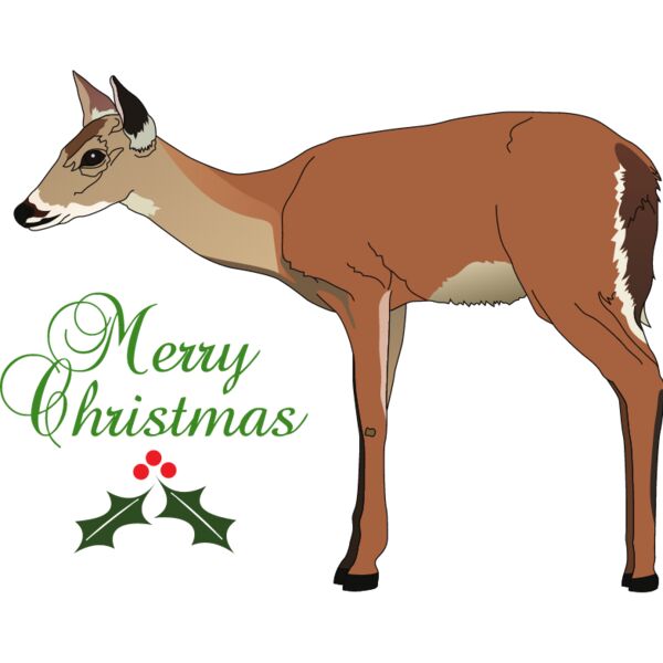 PG50671 Miniaturansicht