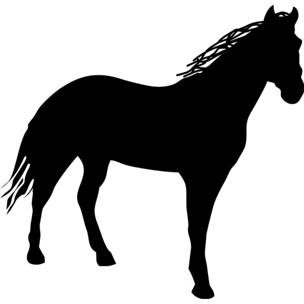 PG60673 Miniaturansicht