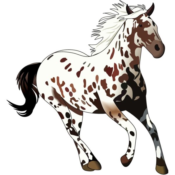 PG55627 Miniaturansicht