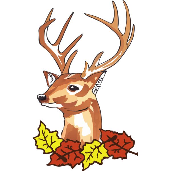 PG79431 Miniaturansicht