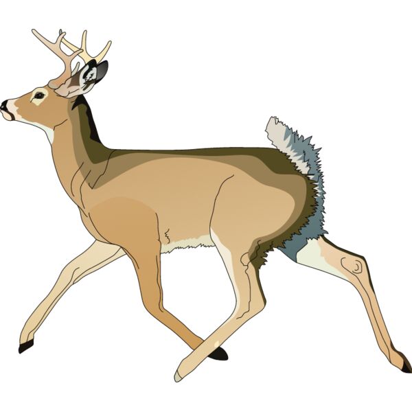 PG50657 Miniaturansicht