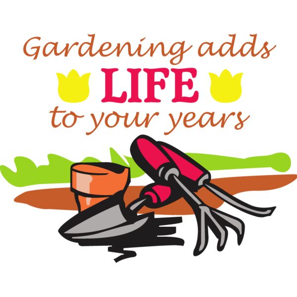 PG67375 Miniaturansicht