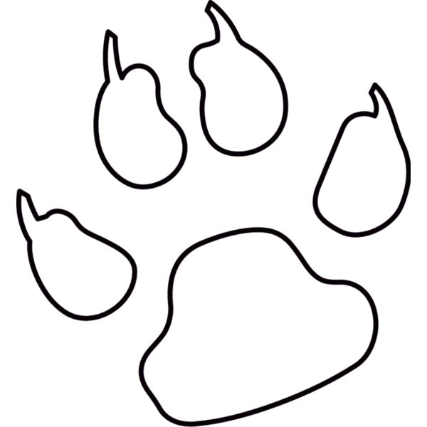 PG71786 Miniaturansicht