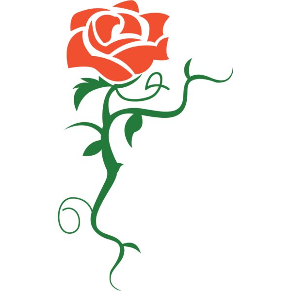 PG79851 Miniaturansicht