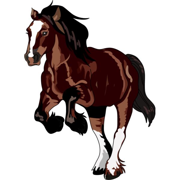 PG67946 Miniaturansicht