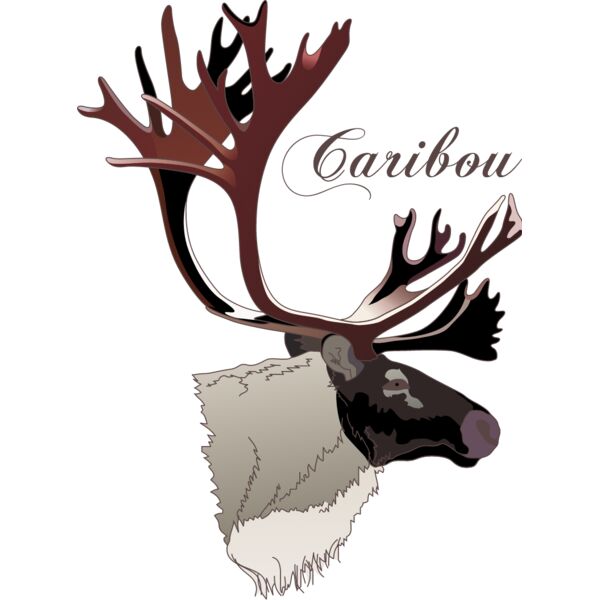 PG50631 Miniaturansicht