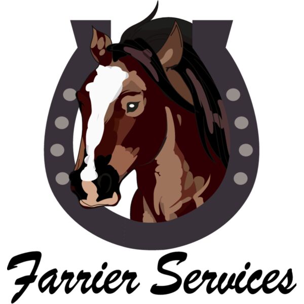 PG71704 Miniaturansicht