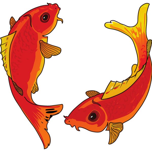 PG70480 Miniaturansicht