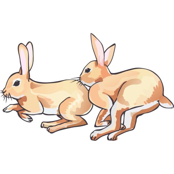 PG69152 Miniaturansicht