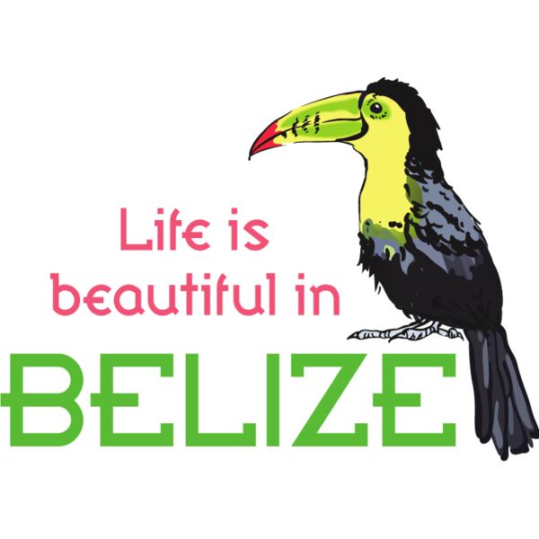 PG76630 Miniaturansicht