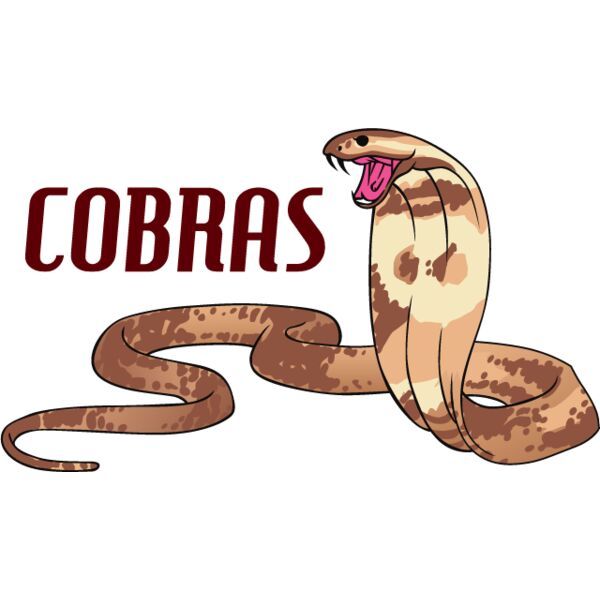 PG67656 Miniaturansicht