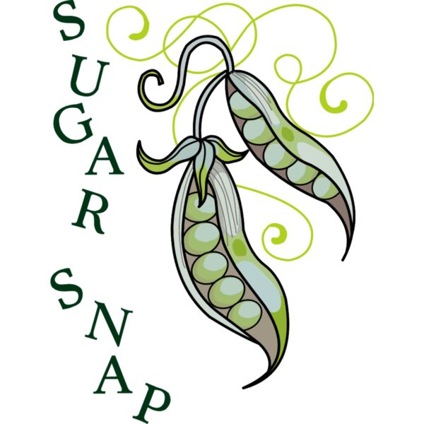 PG15565 Miniaturansicht