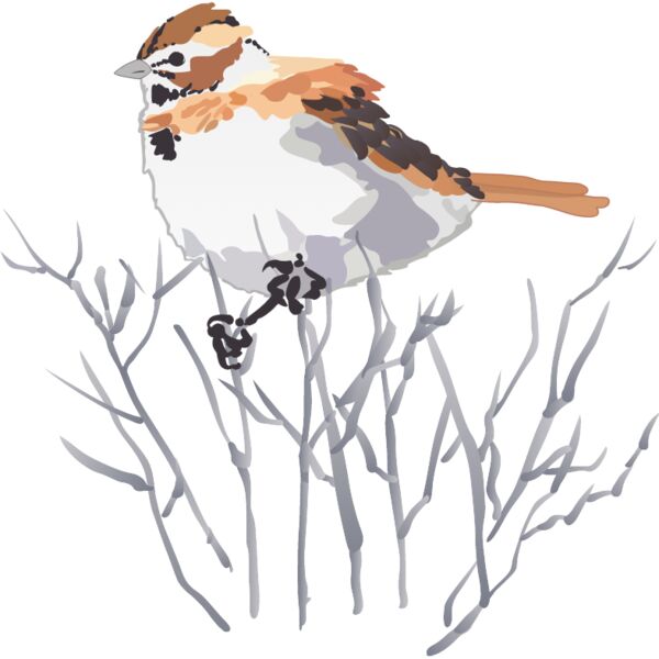 PG70578 Miniaturansicht