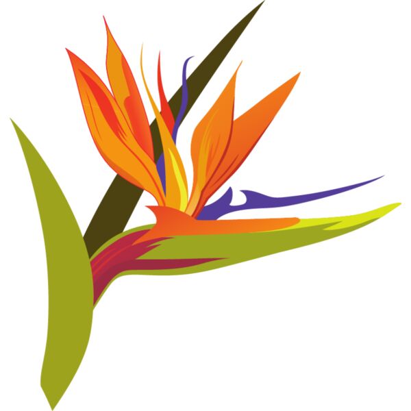 PG72093 Miniaturansicht