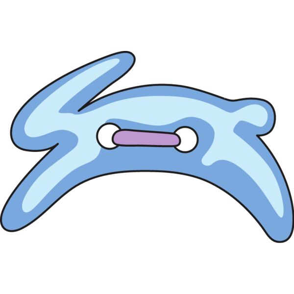 PG18936 Miniaturansicht