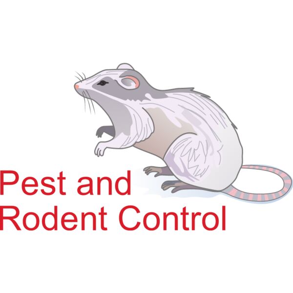 PG66445 Miniaturansicht