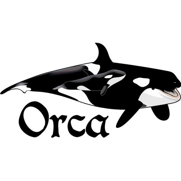 PG52955 Miniaturansicht