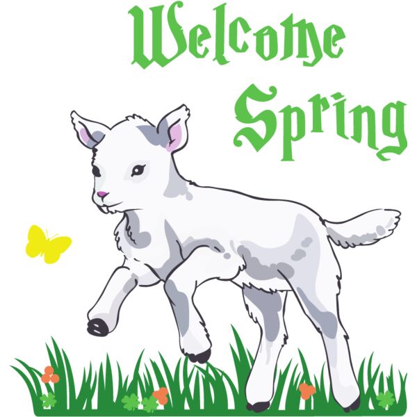 PG87917 Miniaturansicht