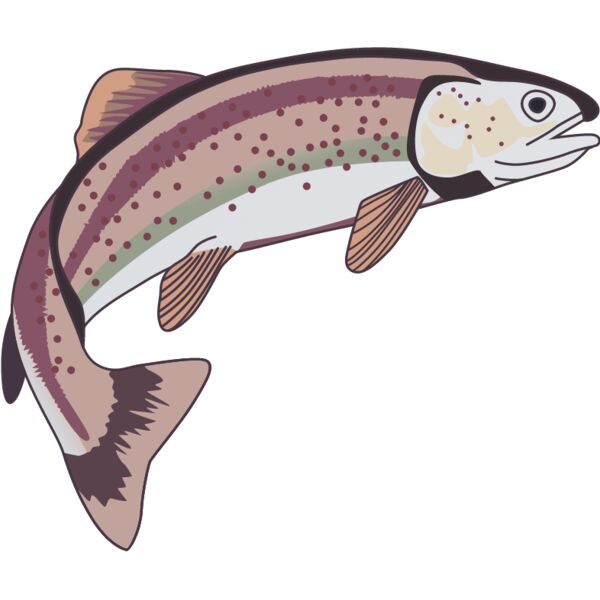 PG46767 Miniaturansicht