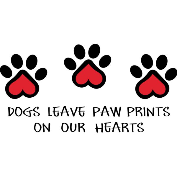 PG72213 Miniaturansicht