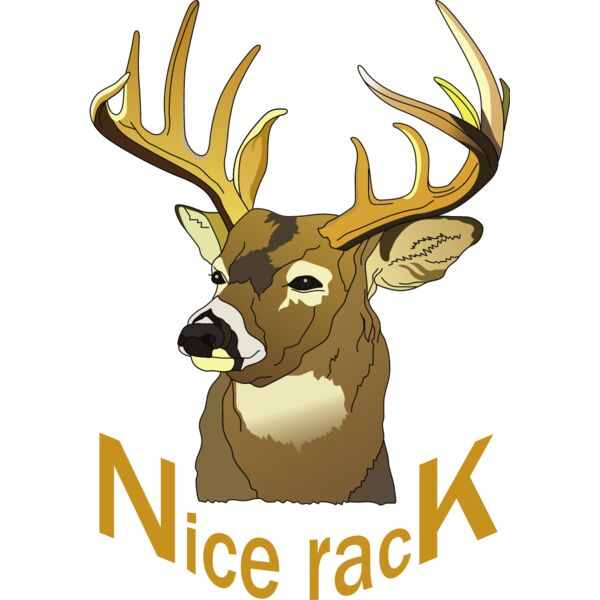 PG50643 Miniaturansicht