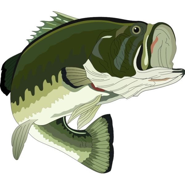 PG50721 Miniaturansicht