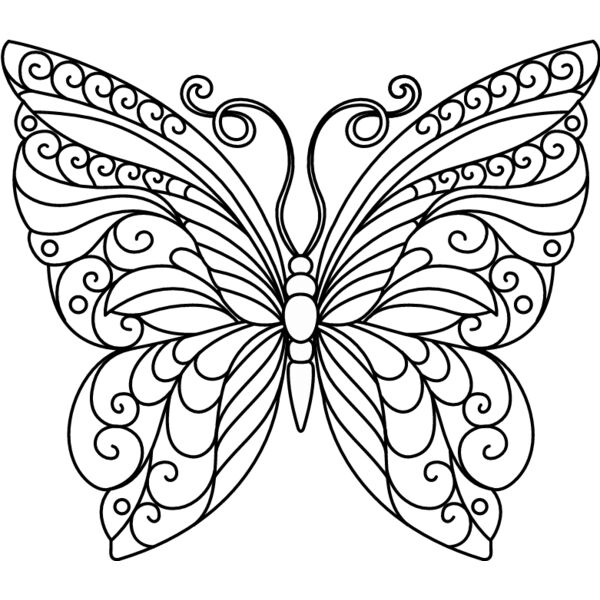 PG71675 Miniaturansicht