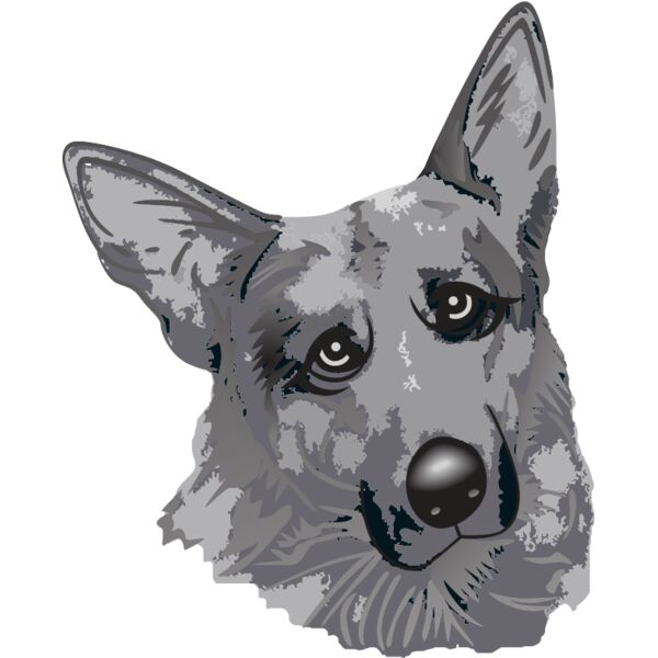 PG63681 Miniaturansicht