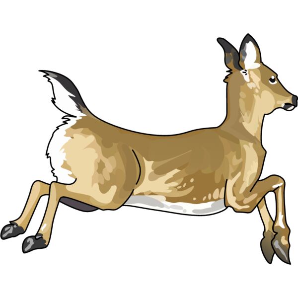 PG67974 Miniaturansicht