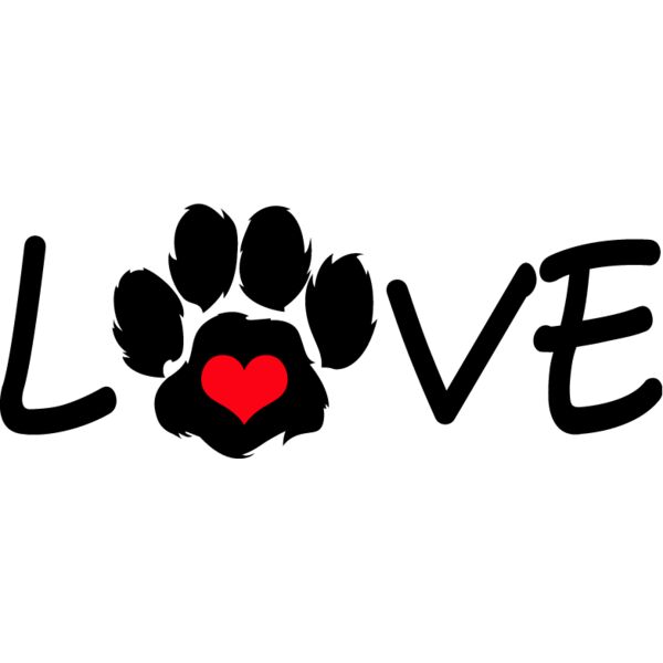 PG63878 Miniaturansicht