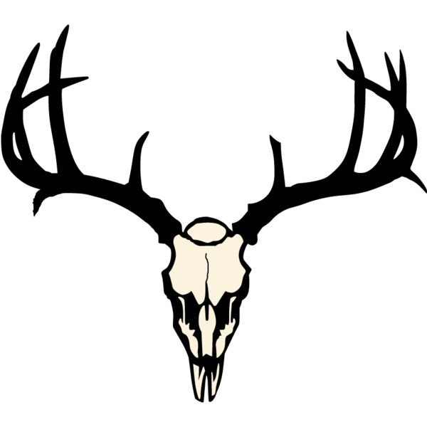 PG76233 Miniaturansicht