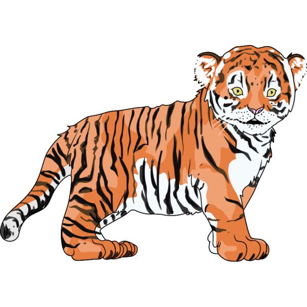 PG69508 Miniaturansicht