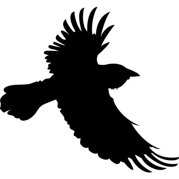 PG69560 Miniaturansicht