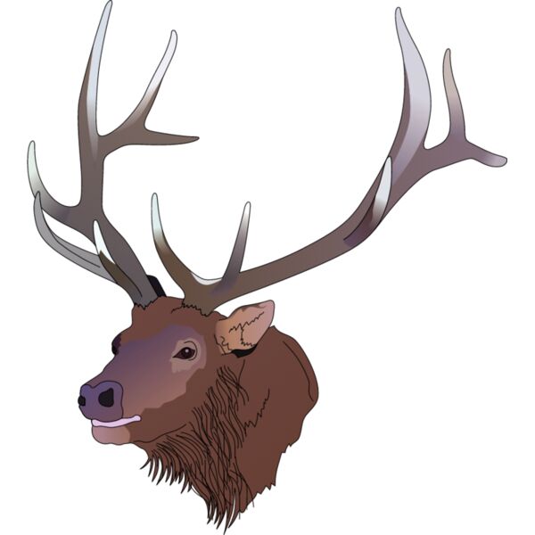 PG50705 Miniaturansicht