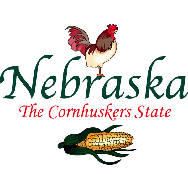 PG17958 Miniaturansicht