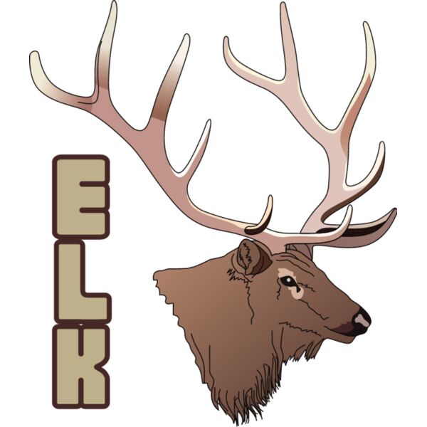 PG50678 Miniaturansicht