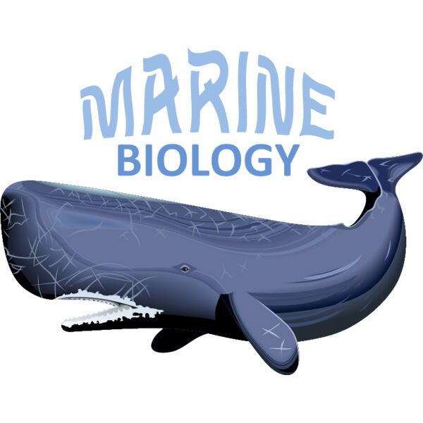 PG52971 Miniaturansicht