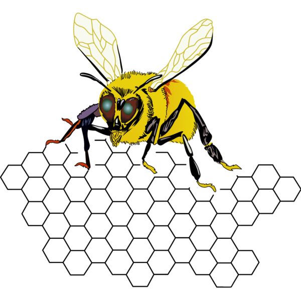 PG79376 Miniaturansicht