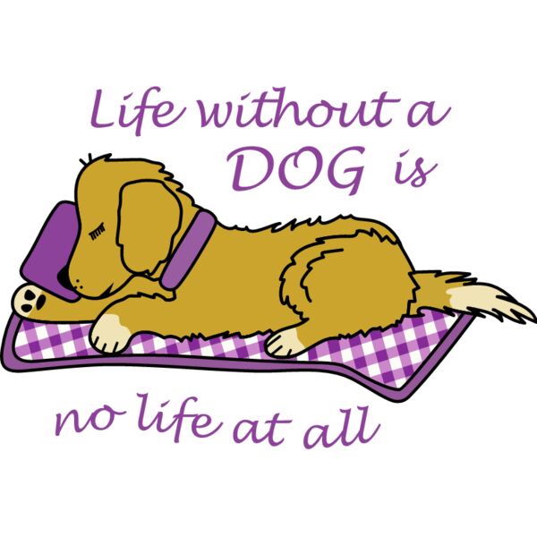 PG61678 Miniaturansicht