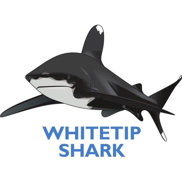 PG52947 Miniaturansicht