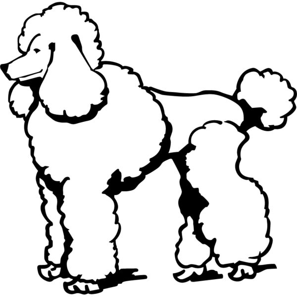 PG71588 Miniaturansicht